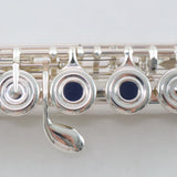 Yamaha Model YFL-382H/LPGP Intermediate Flute with Silver Head MINT CONDITION- for sale at BrassAndWinds.com