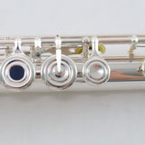 Yamaha Model YFL-382H/LPGP Intermediate Flute with Silver Head MINT CONDITION- for sale at BrassAndWinds.com