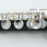 Yamaha Model YPC-62 Professional Wood Piccolo MINT CONDITION- for sale at BrassAndWinds.com