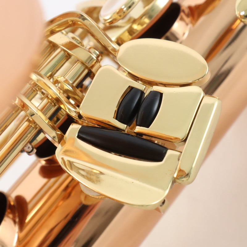 Yanagisawa Model TWO2 Professional Bronze Tenor Saxophone MINT CONDITION- for sale at BrassAndWinds.com